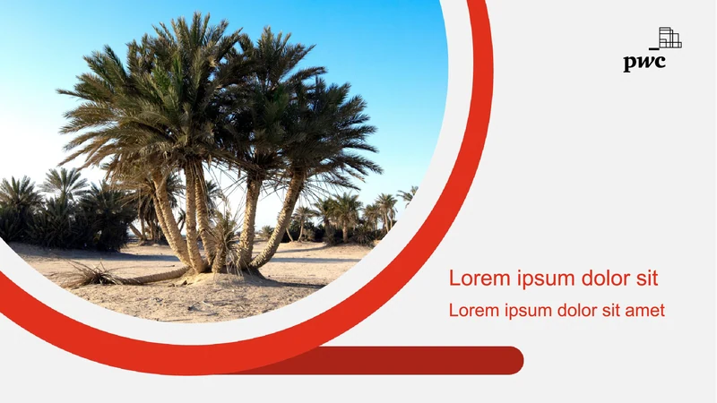 Qatar VAT presentation cover template.